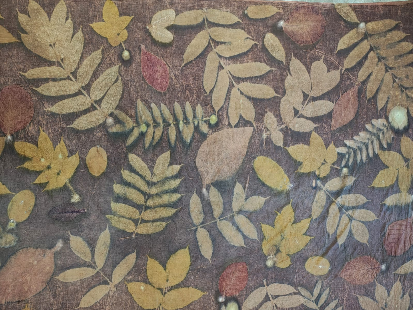 Eco-Printed Leaf Shirt – One-of-a-Kind Plant Dyed Organic Cotton Tee